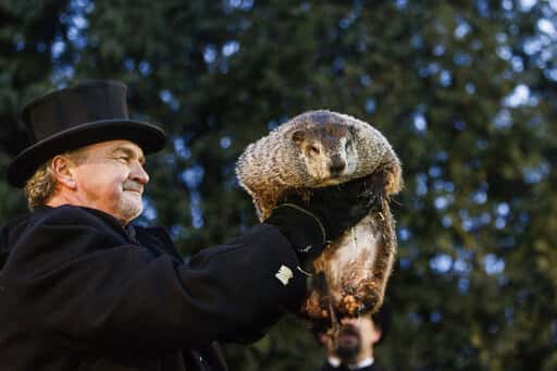 94f1447748ae46138d992b4939c91fcd-jpg