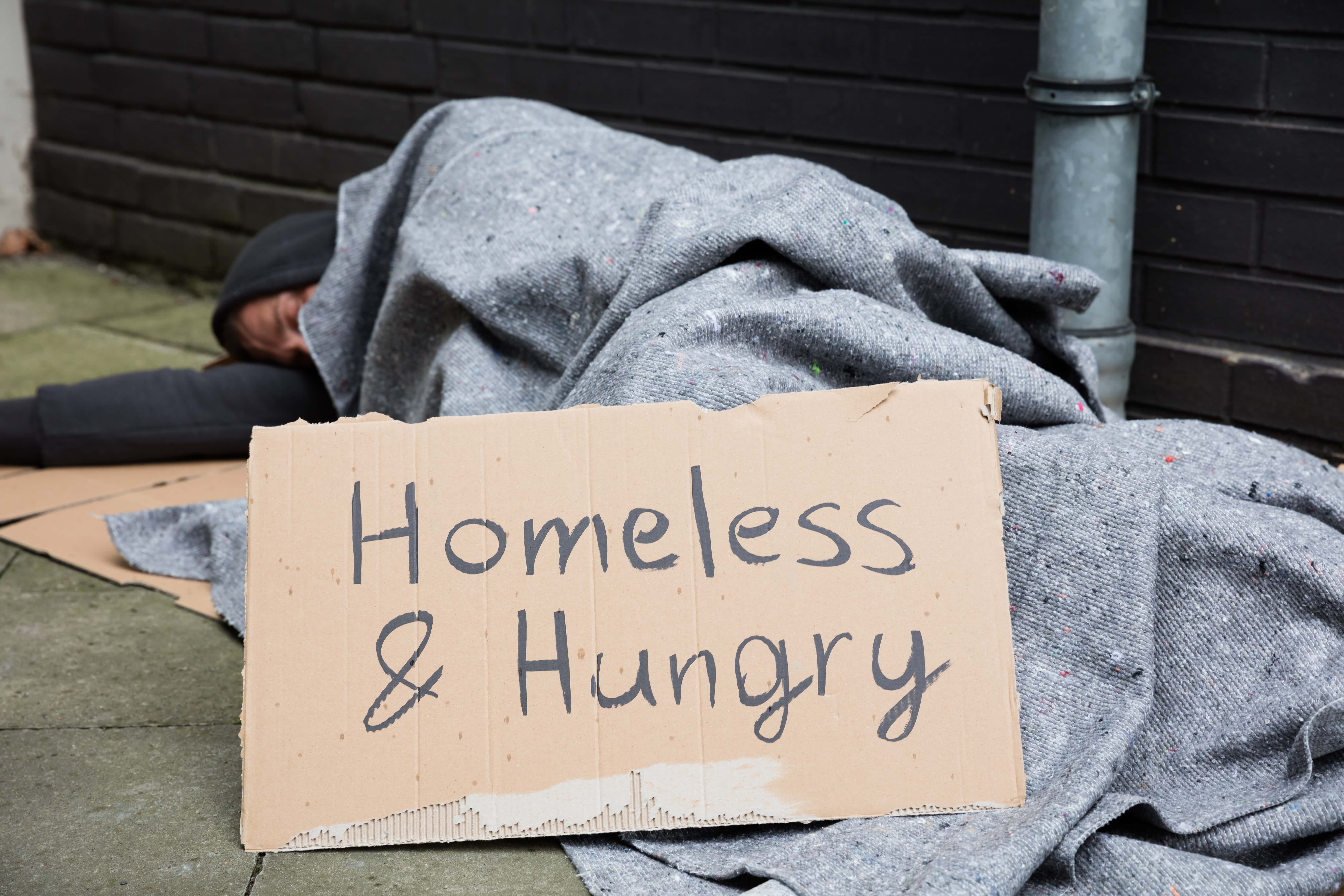 Homeless Strategy Division to Host February Virtual Meetings