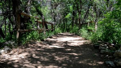 Barton Creek Greenbelt running trail