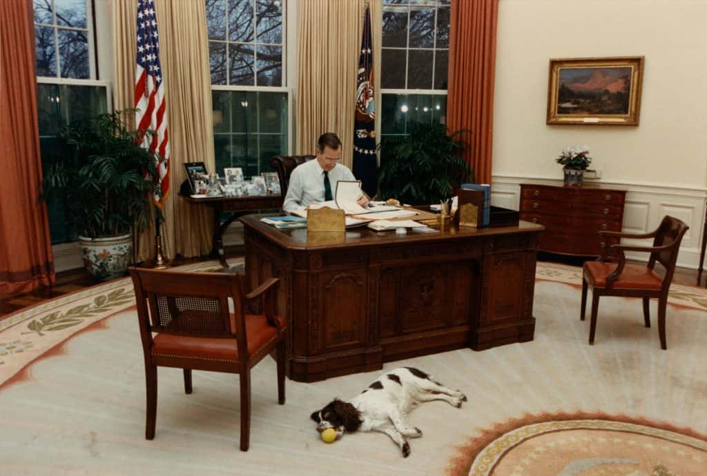 George H.W. Bush and dog Millie in Oval Office