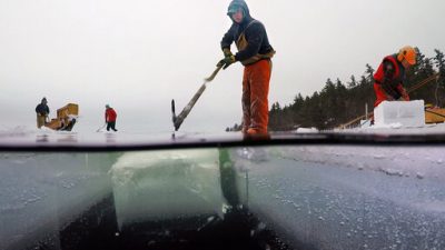 4d4015907c4b4f08918f637088b0b1b9-jpg