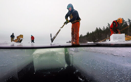 4d4015907c4b4f08918f637088b0b1b9-jpg