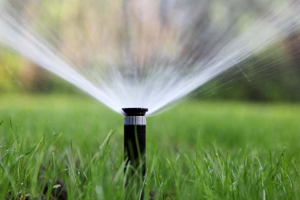 Automatic lawn sprinkler