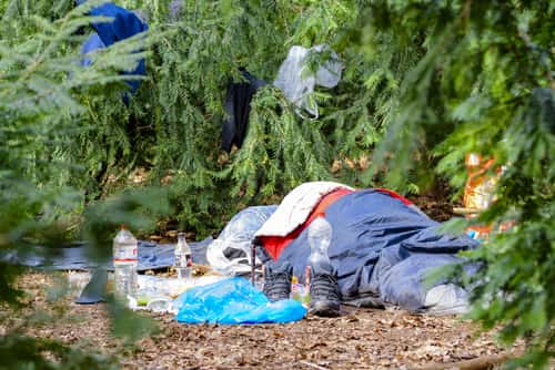 Homeless Camp in Woods