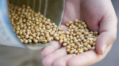 8b01def0ce4d48e6a0a3a246713425a7_0-jpg