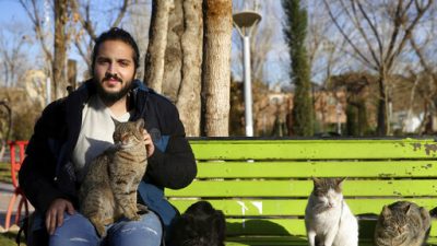 8ea7609396ea414caf1a0e5ddcff739c-jpg