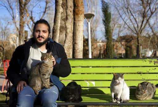 8ea7609396ea414caf1a0e5ddcff739c-jpg