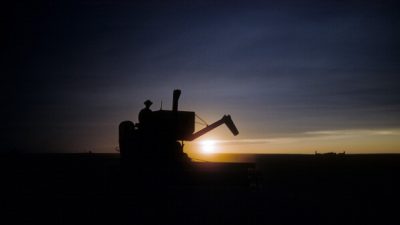 WHEAT HARVEST IN KANSAS:Getty Images