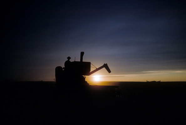 WHEAT HARVEST IN KANSAS:Getty Images