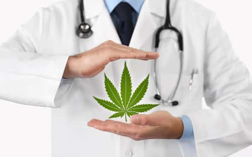 Doctor with a Cannabis Leaf in His Hands