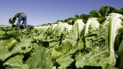 37c972e264954378900730c24813ec1c-jpg