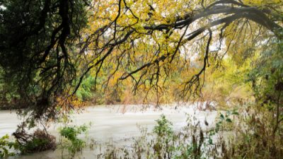 Watershed Department hoping council approves plan to fortify part of Shoal Creek