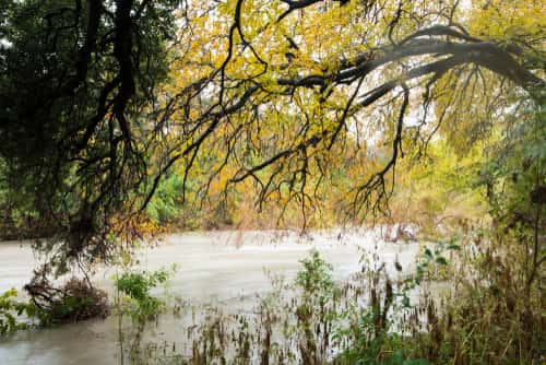 Watershed Department hoping council approves plan to fortify part of Shoal Creek