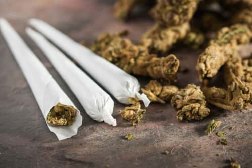 Joints and marijuana buds