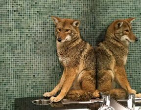 e5f6c5d76c144a8990926b99e80510c0-jpg