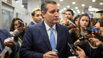 Senator Ted Cruz standing with reporters