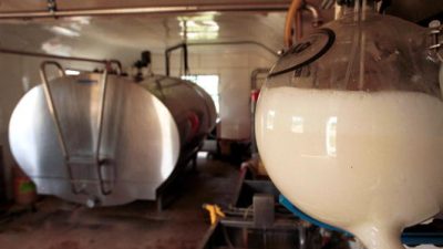 Struggling Dairy Farmers:Getty Images