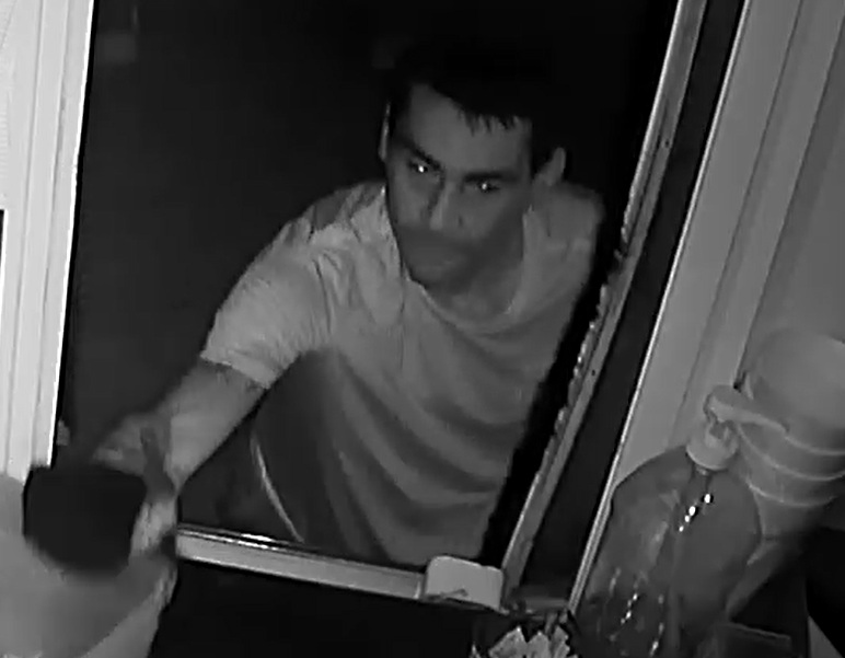 suspected food truck burglar