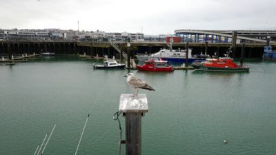 c3958fd763cd46d98f30da0dd27bc807_0-jpg