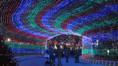 Trail of Lights in Austin, TX
