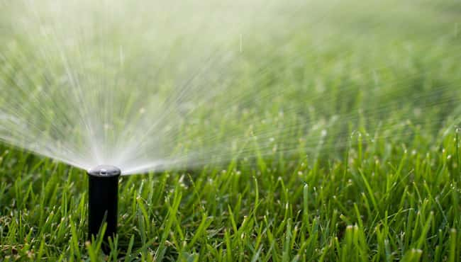 generic-sprinkler-lawn-water-jpg-3