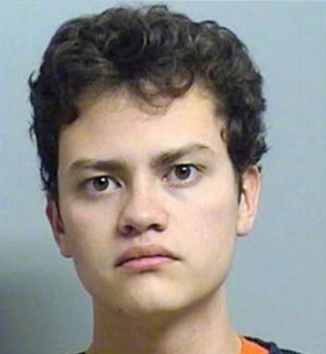 Christian Sims mugshot