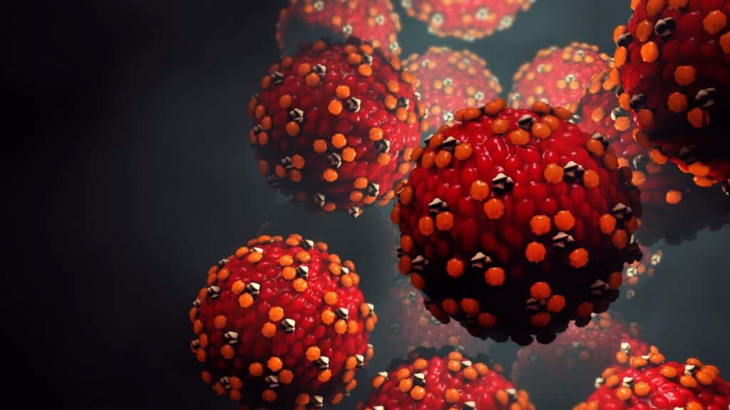 3D illustration of measles virus