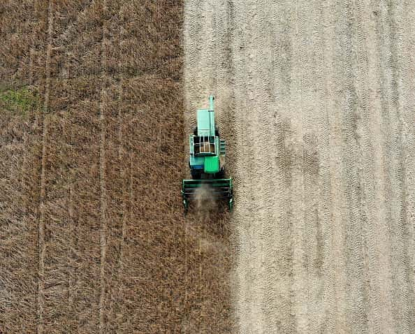 Soybean Harvested In Maryland:Getty Images