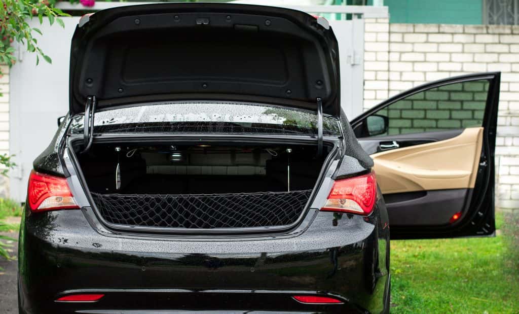 Car with door and trunk left open