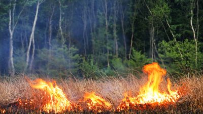 Burnet fire blazes on