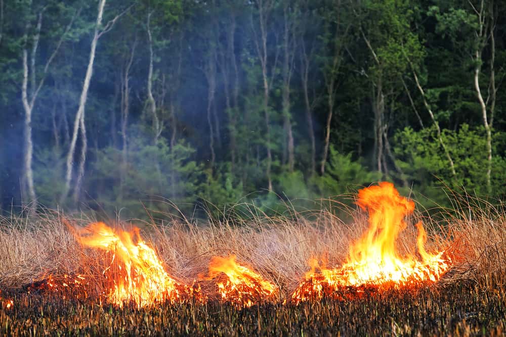 Burnet fire blazes on