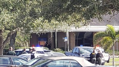 bdfada03a1bc4e8c9c2b0d1b08f7b1fd_0-jpg