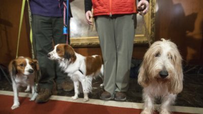 8175b2c706cc438281e7c16715d88ee6_0-jpg