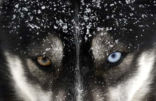 fd0b7d2797d947199a4d546e511ba331-jpg