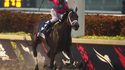 99b2f3304cf04092b4f49f9868627808-jpg