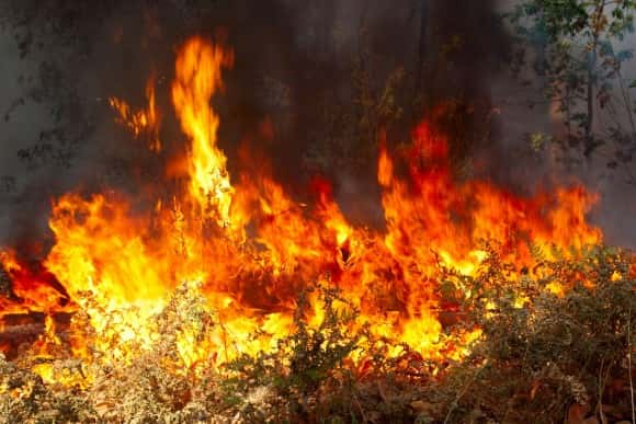 Williamson County Burn Ban Still in Effect