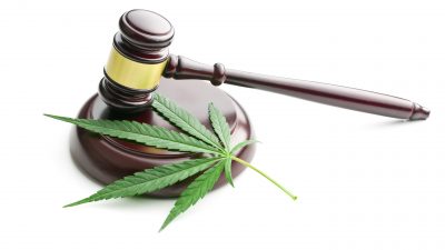 Pot leaf and gavel