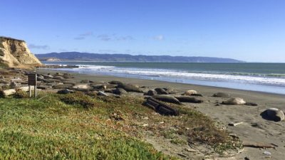 c8fb7844e64c4811b04850ae963bd201_0-jpg