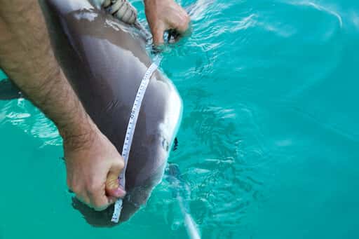 c86331e1f796448c9003b479887919c6-jpg