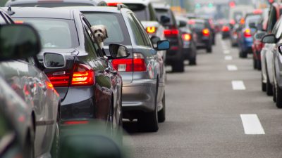 cars lined up on roadway, one has a dog