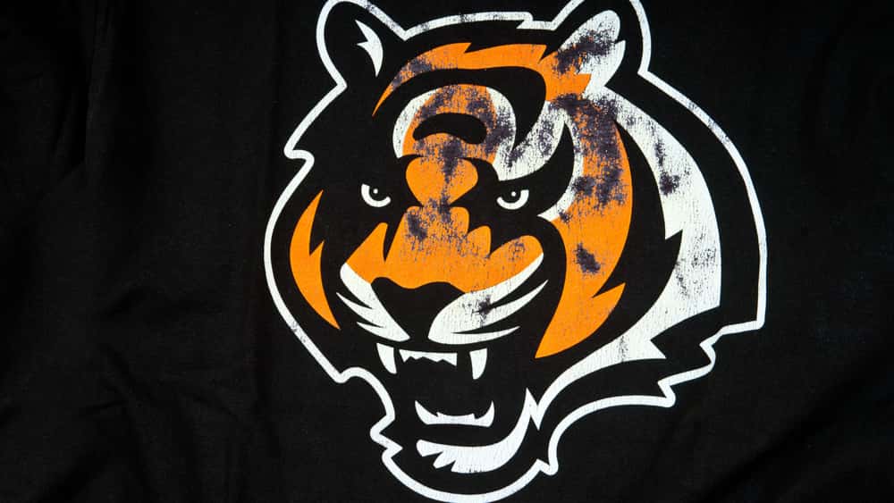 tmp491723ab-f13e-4818-94c2-b87a044552e9-jpg