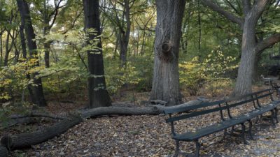 tmp365065d6-454a-461c-af26-b5e8dee102e2-jpg