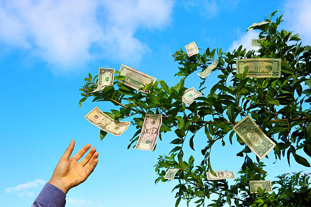 moneytree