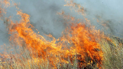 wildfires-continue-to-rage-out-of-control-in-southern-california