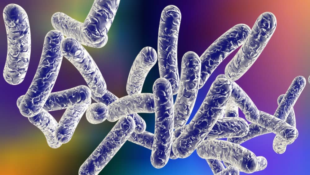 1 dead, 11 sickened in Legionnaires’ disease outbreak in Napa County, California