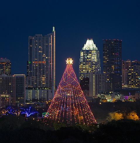 zilkertree