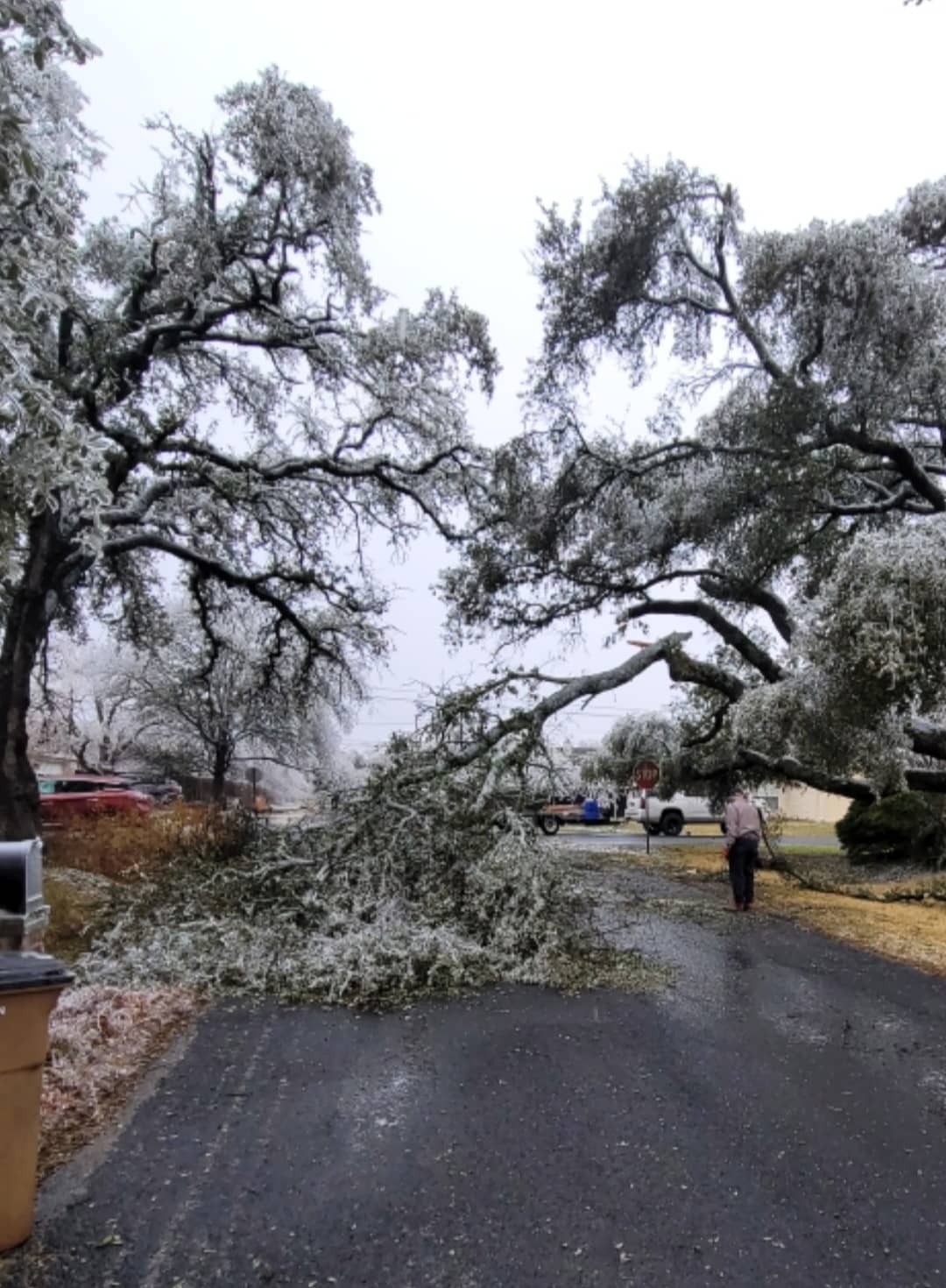 Williamson County Extends Disaster Declaration