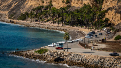 shutterstock_1238880025551263