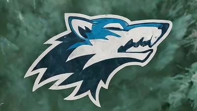 minnesota timberwolves nba finals champions 2024 - TEAM LOGO