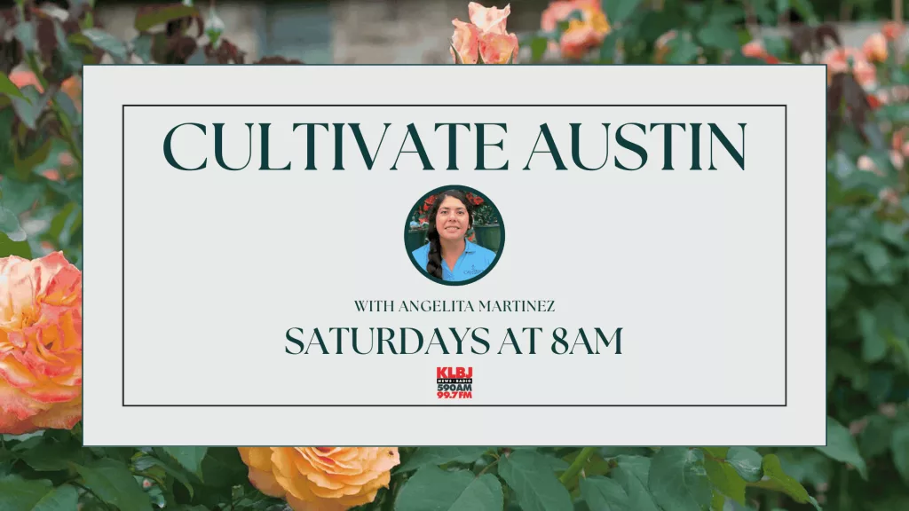 Cultivate austin show page header 2025 gardening in Austin